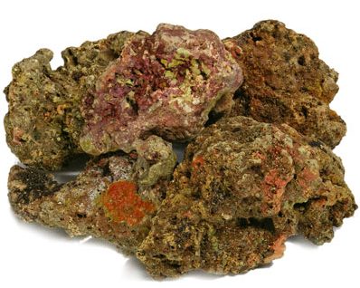 Fiji Premium Live Rock